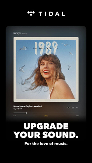 Tidal截图5