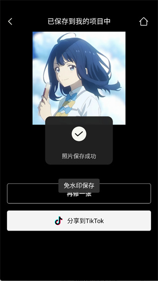 醒图国际版
