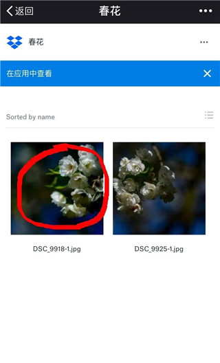 Dropbox app