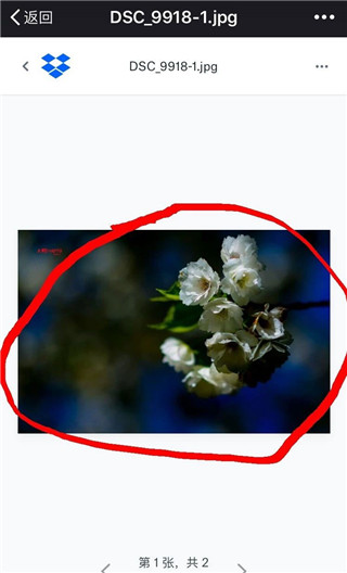 Dropbox app