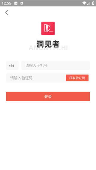 洞见者