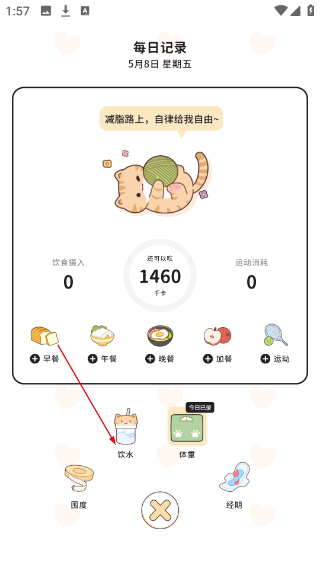 喵喵轻断食