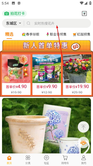 虹越花卉网上商城