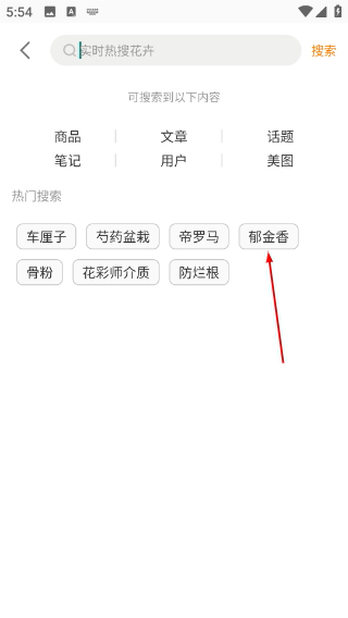 虹越花卉网上商城