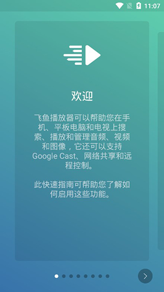 飞鱼播放器截图2