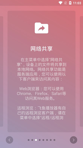 飞鱼播放器截图3