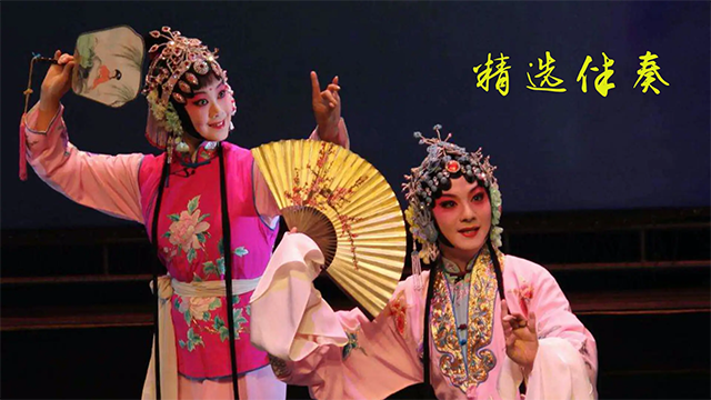 豫剧迷截图2