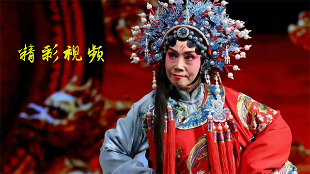 豫剧迷截图3