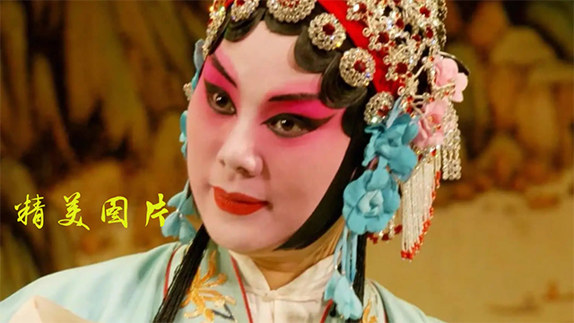 豫剧迷截图4