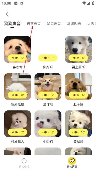 万能语言翻译器免费版