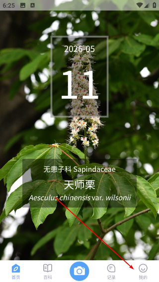 植物智
