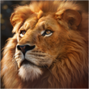 Beast Lord安装器