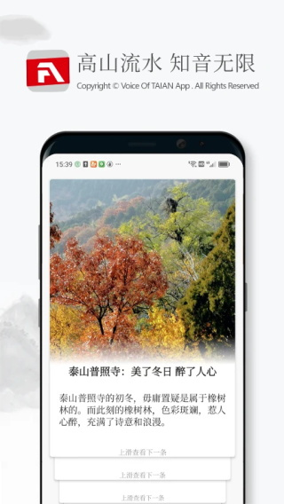 泰安之声截图5
