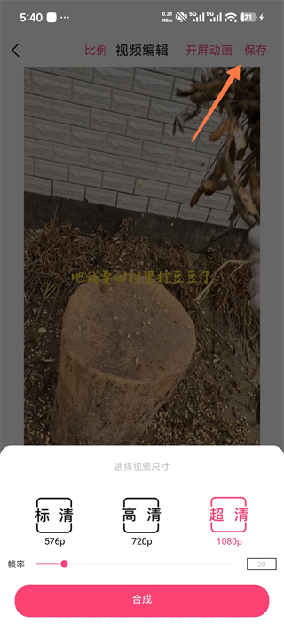 字拍