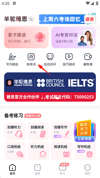 羊驼雅思