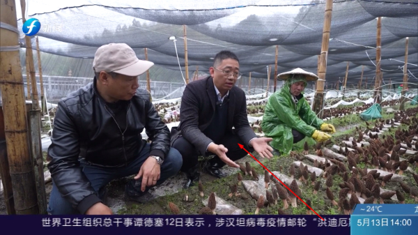 小薇直播免费版