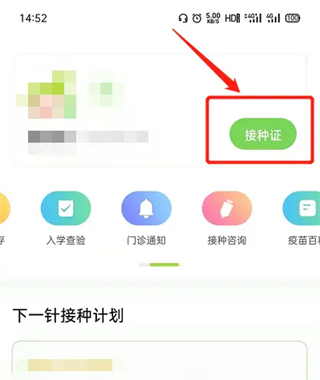 小豆苗