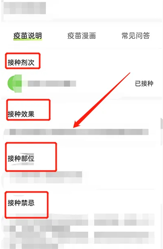 小豆苗