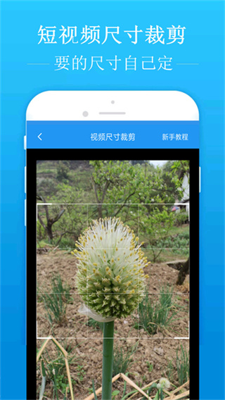 去水印吧截图1