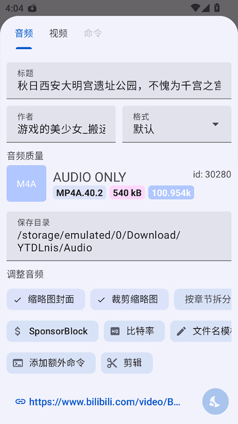 YTDLnis截图3