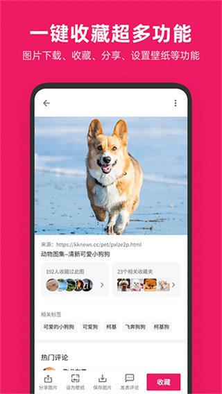 图片搜搜截图5