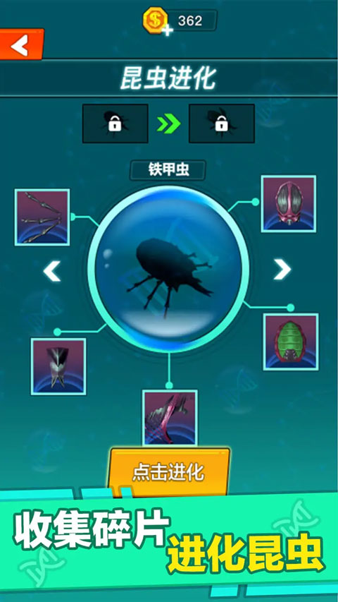昆虫进化大乱斗免广告截图3