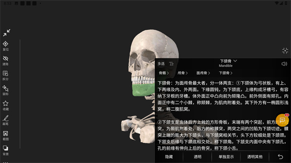 3DBody解剖