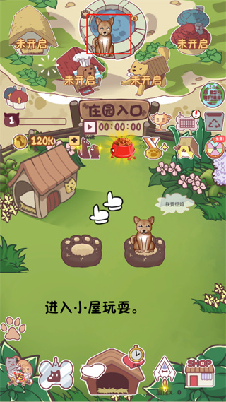狗狗派对