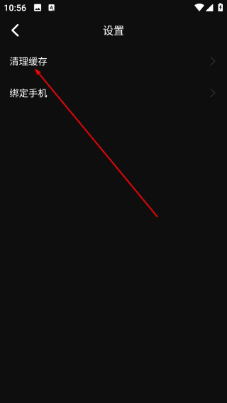 王牌影院最新版