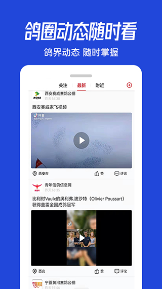 青鸽网截图2