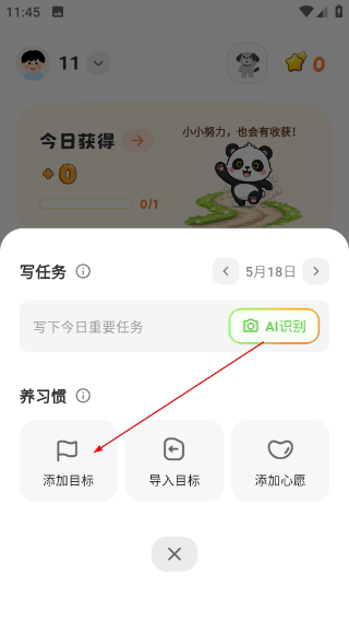 星目标