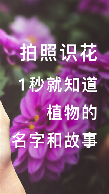 形色植物识别截图5