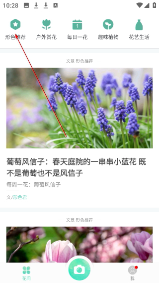 形色植物识别