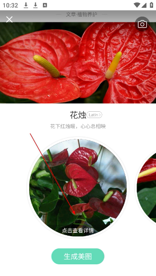 形色植物识别手机版