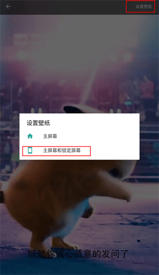 皮皮壁纸