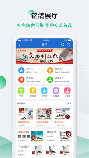 中信网-信鸽信息网截图3