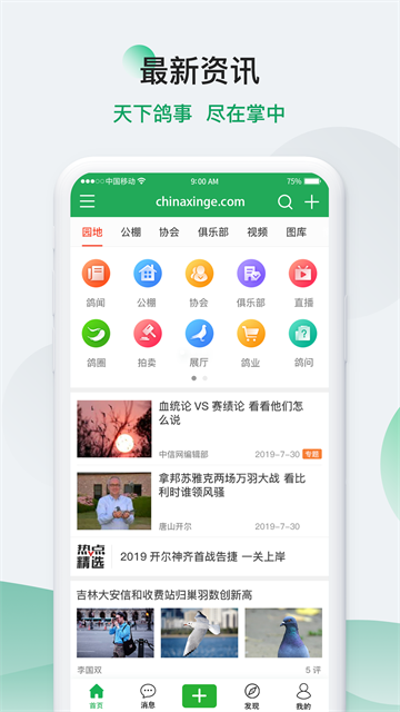 中信网-信鸽信息网截图5