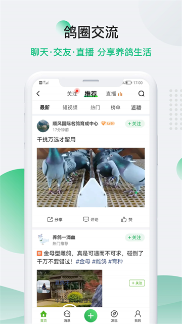 中信网-信鸽信息网截图4