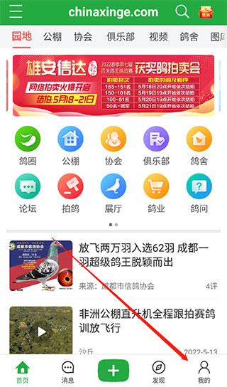 中信网-信鸽信息网