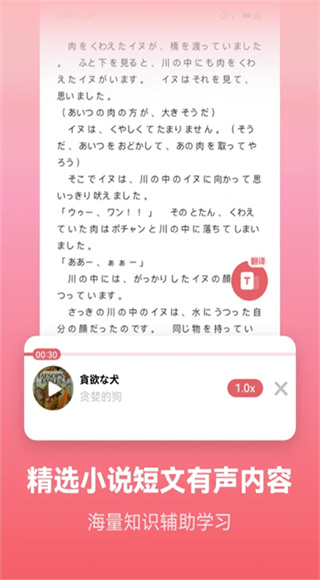莱特日语背单词截图2