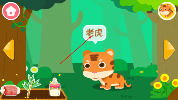 动物乐园