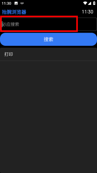抬腕浏览器手表版