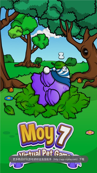 Moy 7