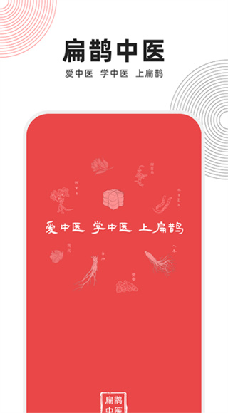 扁鹊中医截图2