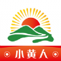 小黄人聚合莲花版