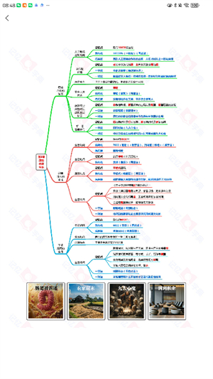 记忆字典截图4