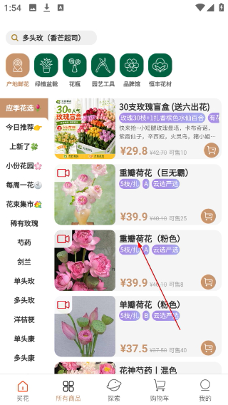 云选鲜花批发