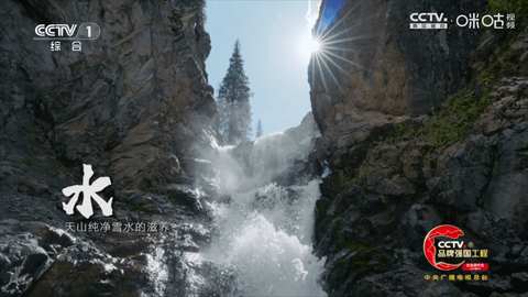 冰茶订阅专用截图3