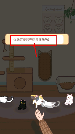 领养一只流浪猫