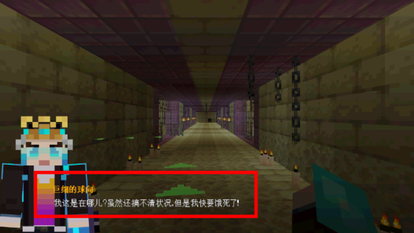 我的世界地下城无限钻石金币版
